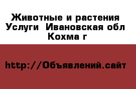 Животные и растения Услуги. Ивановская обл.,Кохма г.